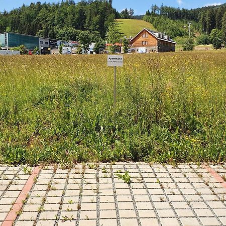 Apartamento Apartmán U Suchého buku - Buková Hora Červená Voda Exterior foto