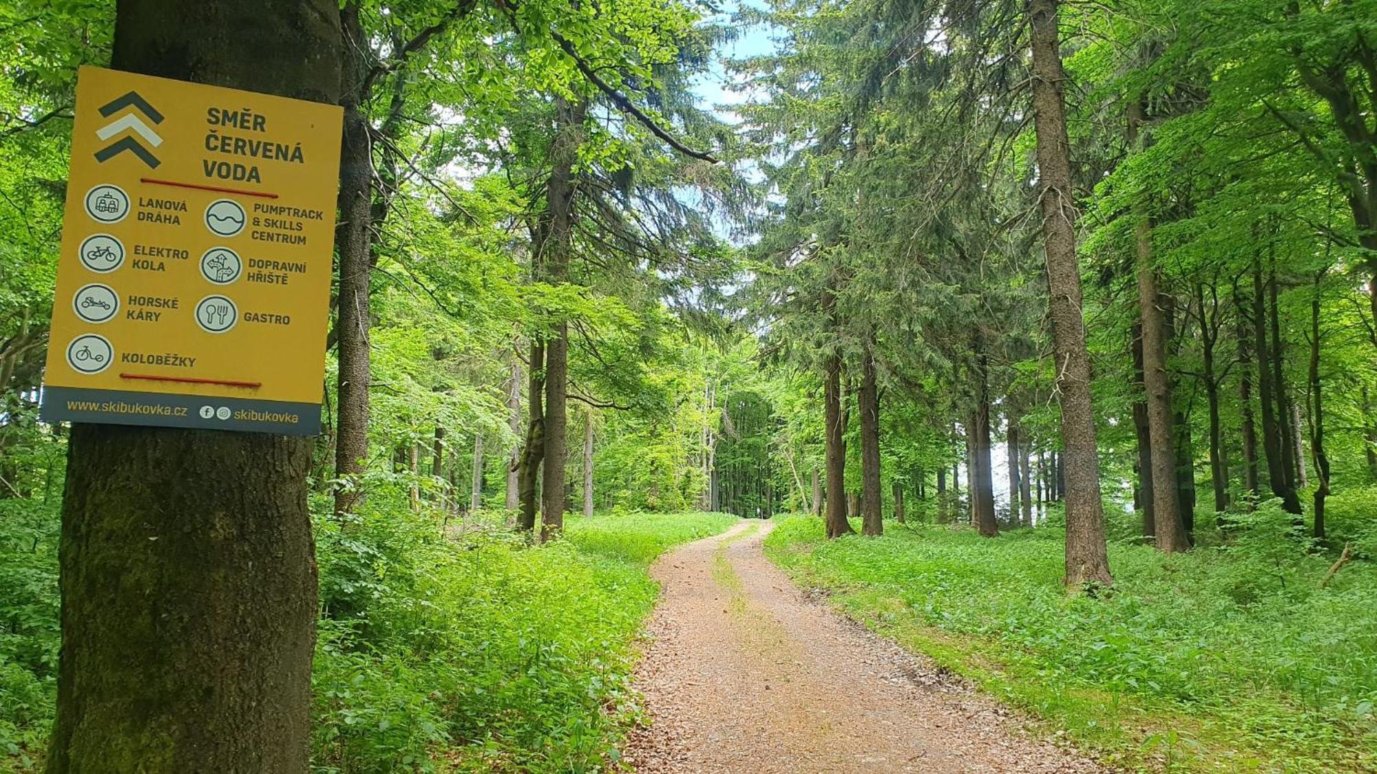 Apartamento Apartmán U Suchého buku - Buková Hora Červená Voda Exterior foto