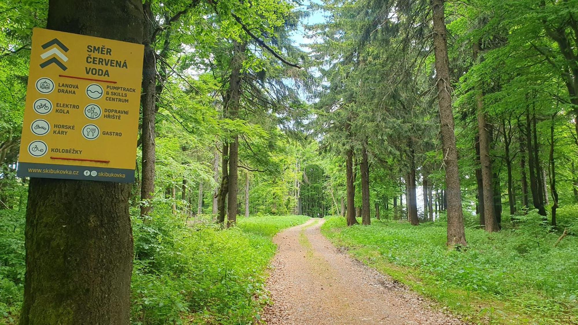 Apartmán U Suchého buku - Buková Hora Červená Voda Exterior foto